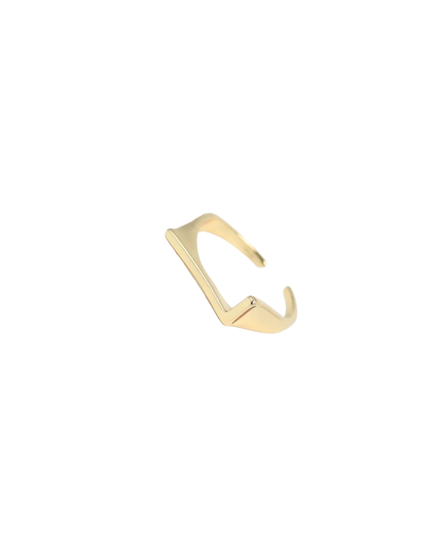 Initial Rings