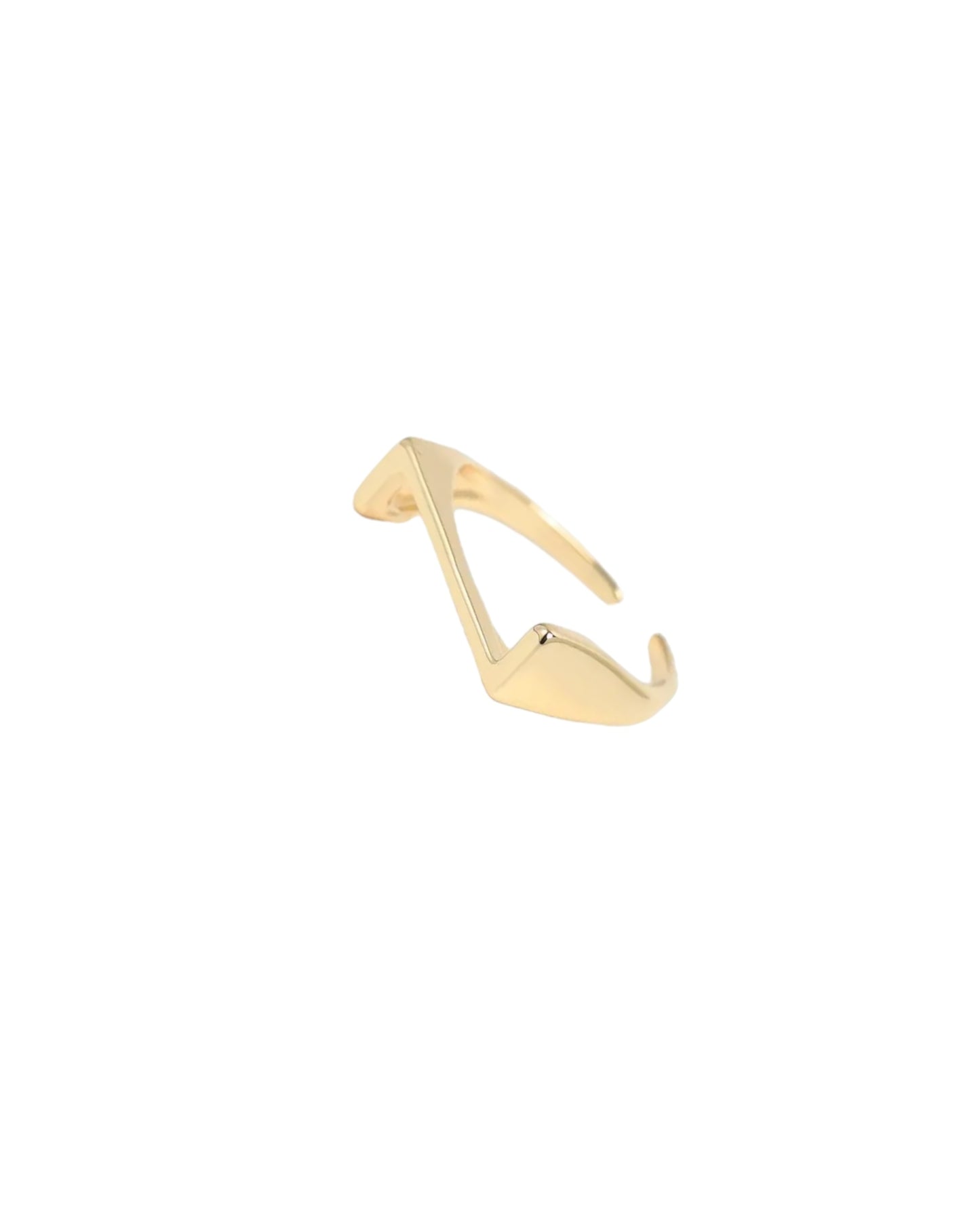 Initial Rings