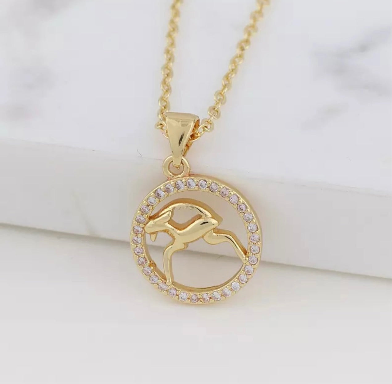 Zodiac - Capricorn